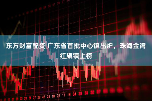 东方财富配资 广东省首批中心镇出炉，珠海金湾红旗镇上榜