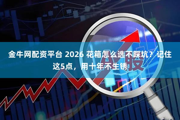 金牛网配资平台 2026 花箱怎么选不踩坑？记住这5点，用十年不生锈